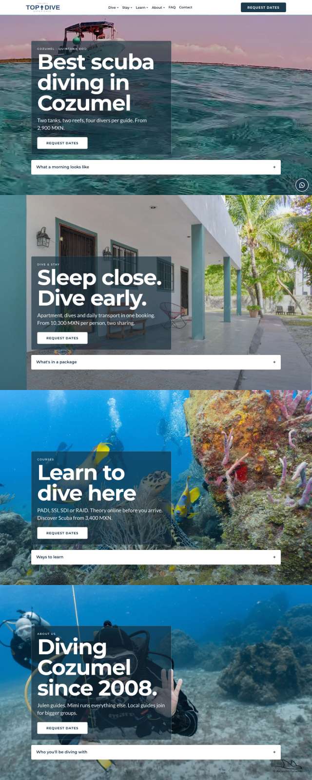 Cozumel Top Dive Experience home page, the version I designed, captured 28 September 2026